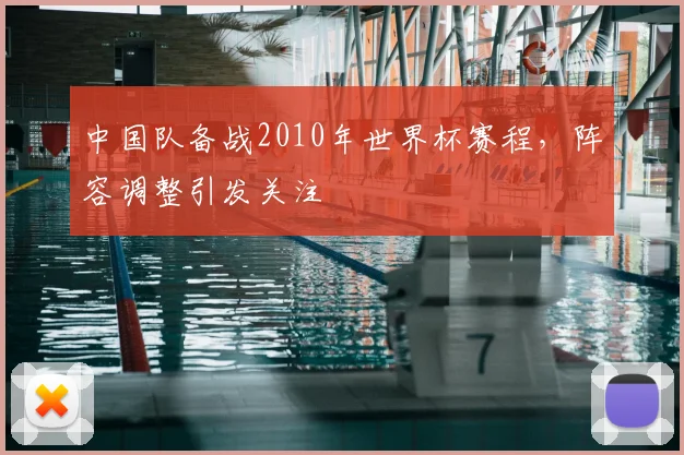 中国队备战2010年世界杯赛程,阵容调整引发关注