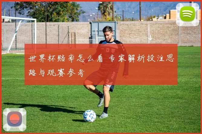 世界杯赔率怎么看 专家解析投注思路与观赛参考