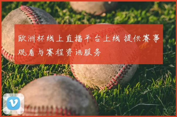欧洲杯线上直播平台上线 提供赛事观看与赛程资讯服务
