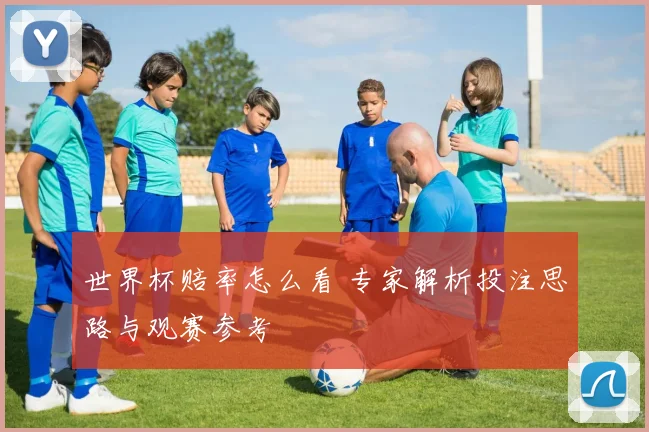 世界杯赔率怎么看 专家解析投注思路与观赛参考